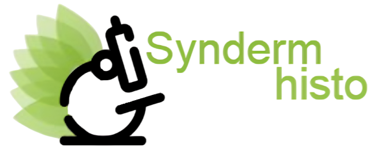 Syndermhisto|Abbas Dehghani